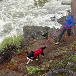 Euro Joe Roamer -Euro Joe shop 160505 RUFF 11 PRINT