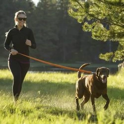 Euro Joe Roamer -Euro Joe shop 170524 RUFF Slough 2509 PRINT