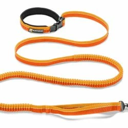 Euro Joe Roamer -Euro Joe shop 40354 RoamerLeash OrangeSunset PRINT