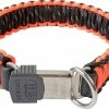Euro Joe Collar "Paracord" Orange
