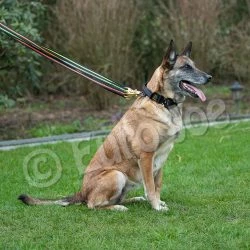 Euro Joe Black-Neon Leash Without Handle 21 Euro Joe Black-Neon Leash Without Handle -Euro Joe shop Black neon 03 1