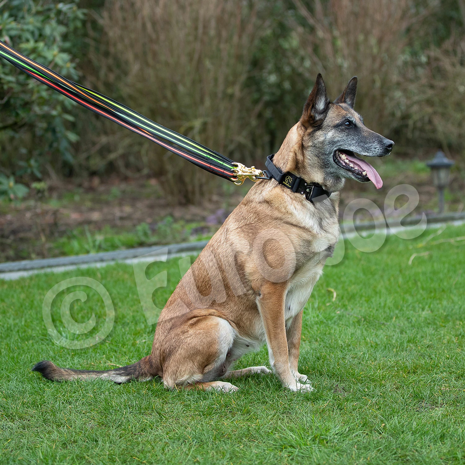 Euro Joe Black-Neon Leash Without Handle 11 Euro Joe Black-Neon Leash Without Handle - Image 11