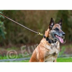 Euro Joe Black-Neon Leash With Handle -Euro Joe shop Black neon 07