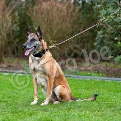 Euro Joe Black-Neon Leash With Handle -Euro Joe shop Black neon 08