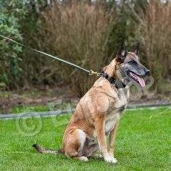 Euro Joe Black-Neon Leash Without Handle 16 Euro Joe Black-Neon Leash Without Handle -Euro Joe shop Black neon 09 1