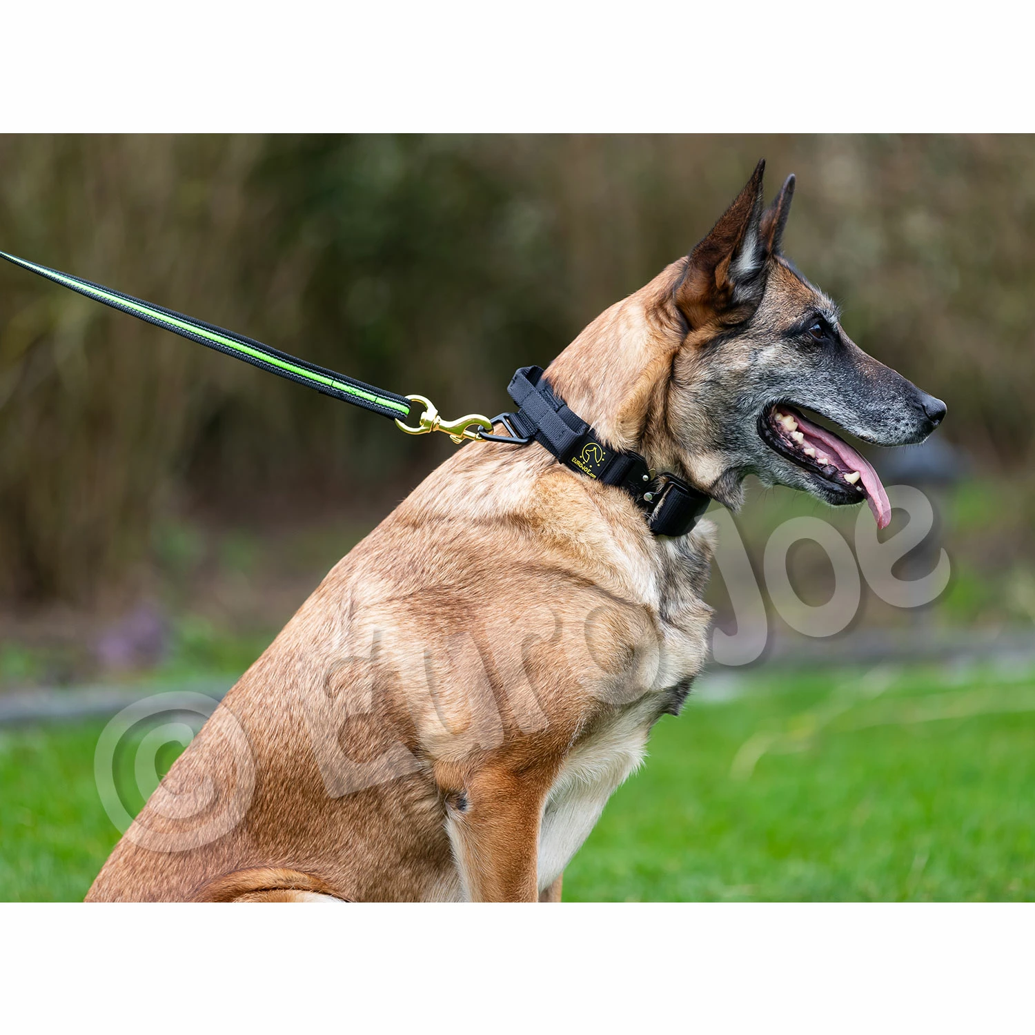 Euro Joe Black-Neon Leash Without Handle 2 Euro Joe Black-Neon Leash Without Handle - Image 2