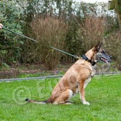 Euro Joe Black-Neon Leash With Handle -Euro Joe shop Black neon 11