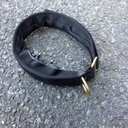 Euro Joe E-protect Collar