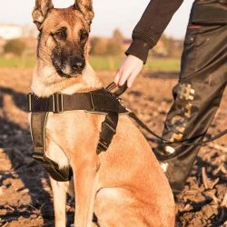 Euro Joe Nylon Harness 'Hercules' -Euro Joe shop Hercules Harnas 04