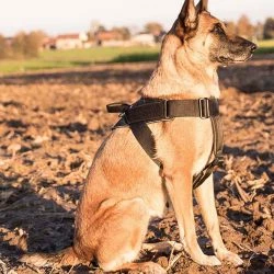 Euro Joe Nylon Harness 'Hercules' -Euro Joe shop Hercules Harnas 05