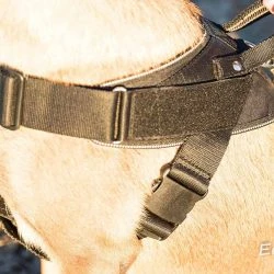 Euro Joe Nylon Harness 'Hercules' -Euro Joe shop Hercules Harnas 06