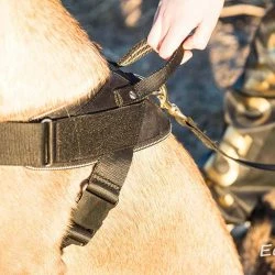 Euro Joe Nylon Harness 'Hercules' -Euro Joe shop Hercules Harnas 07