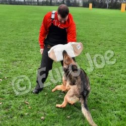 Euro Joe Bite Sleeve "HiQ3" -Euro Joe shop HiQ3 4