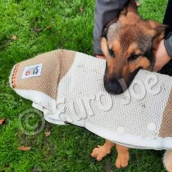 Euro Joe Bite Sleeve "HiQ3" -Euro Joe shop HiQ3 7