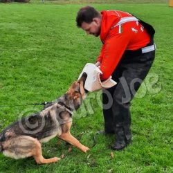 Euro Joe Bite Sleeve "HiQ3" -Euro Joe shop HiQ3 8