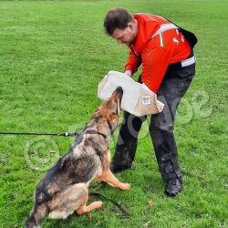 Euro Joe Bite Sleeve "HiQ3" -Euro Joe shop HiQ3 9