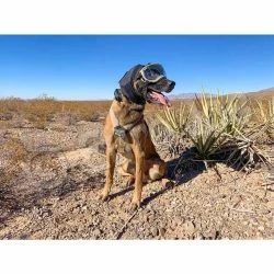 Euro Joe Hearing Protection For Dogs -Euro Joe shop IMG 2