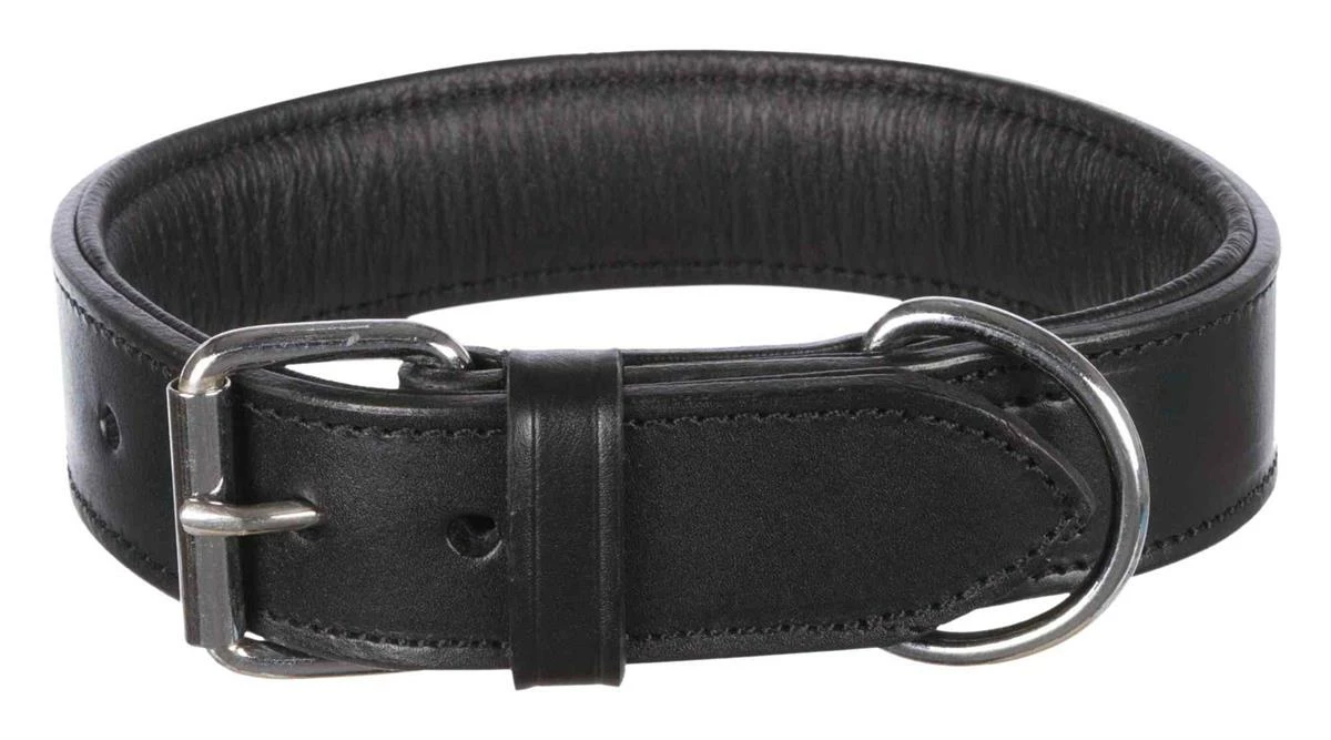 Euro Joe Active Collar, Leather Black 1 Euro Joe Active Collar, Leather Black