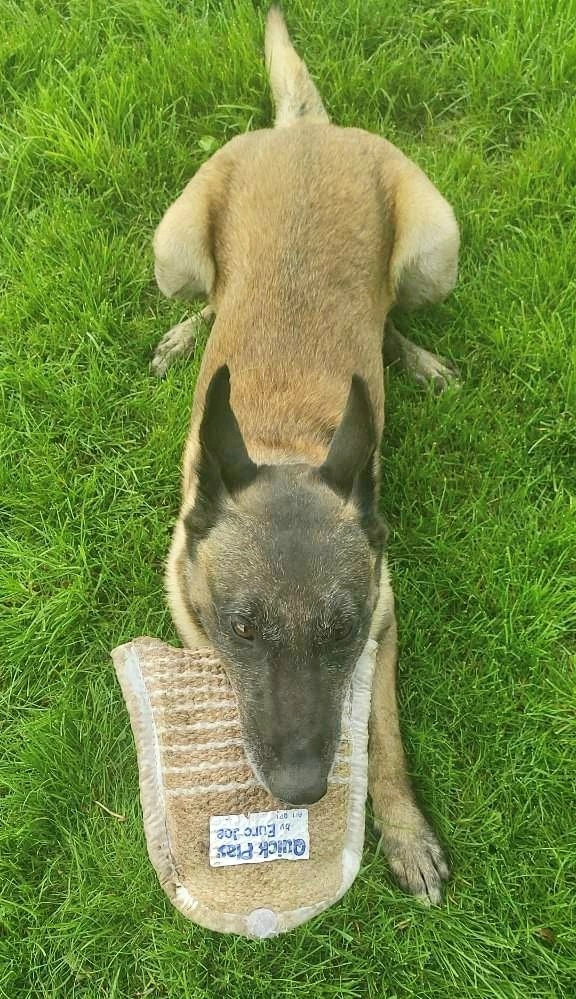 Euro Joe Bite Cushion "Quick Play" Jute 4 Euro Joe Bite Cushion "Quick Play" Jute - Image 4