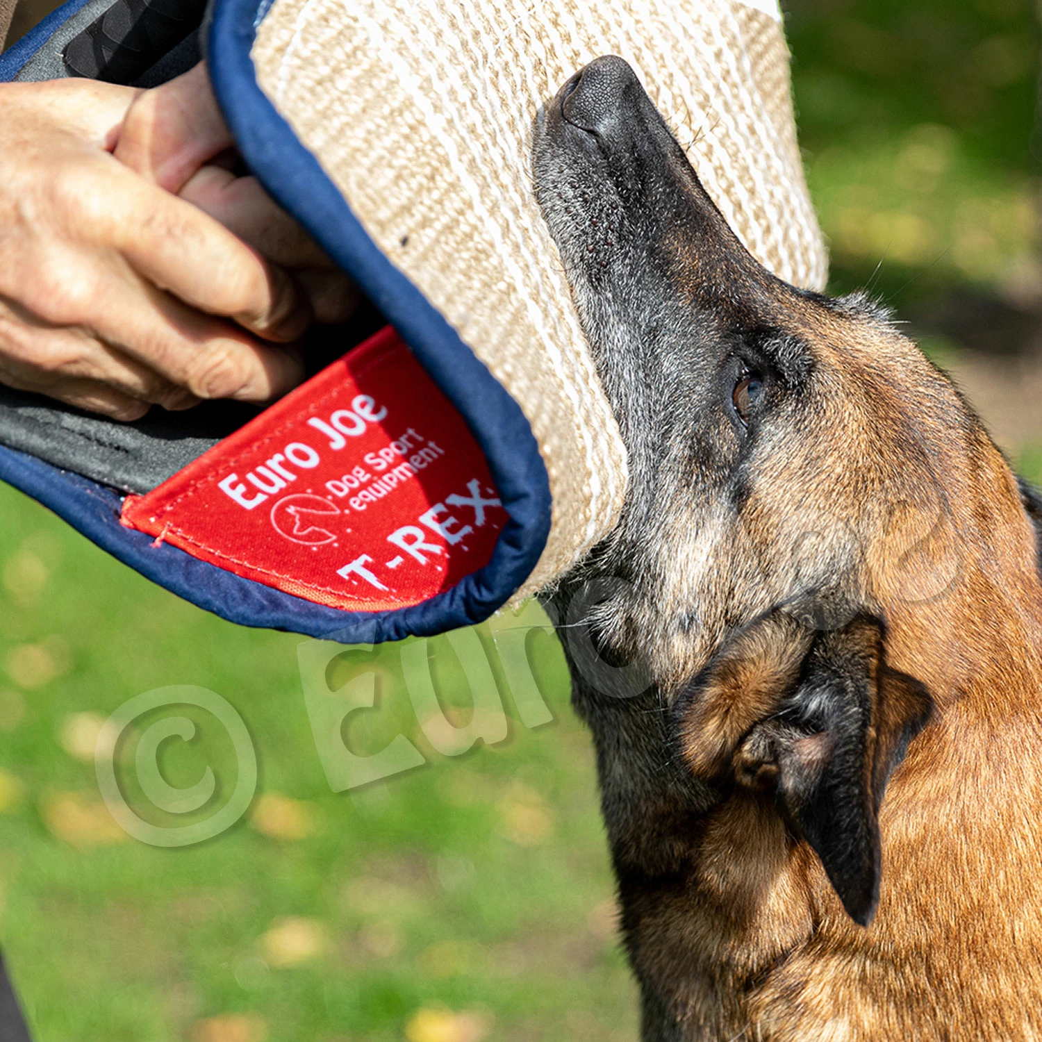 Euro Joe Soft Bitecushion "T-Rex" 1 Euro Joe Soft Bitecushion "T-Rex"