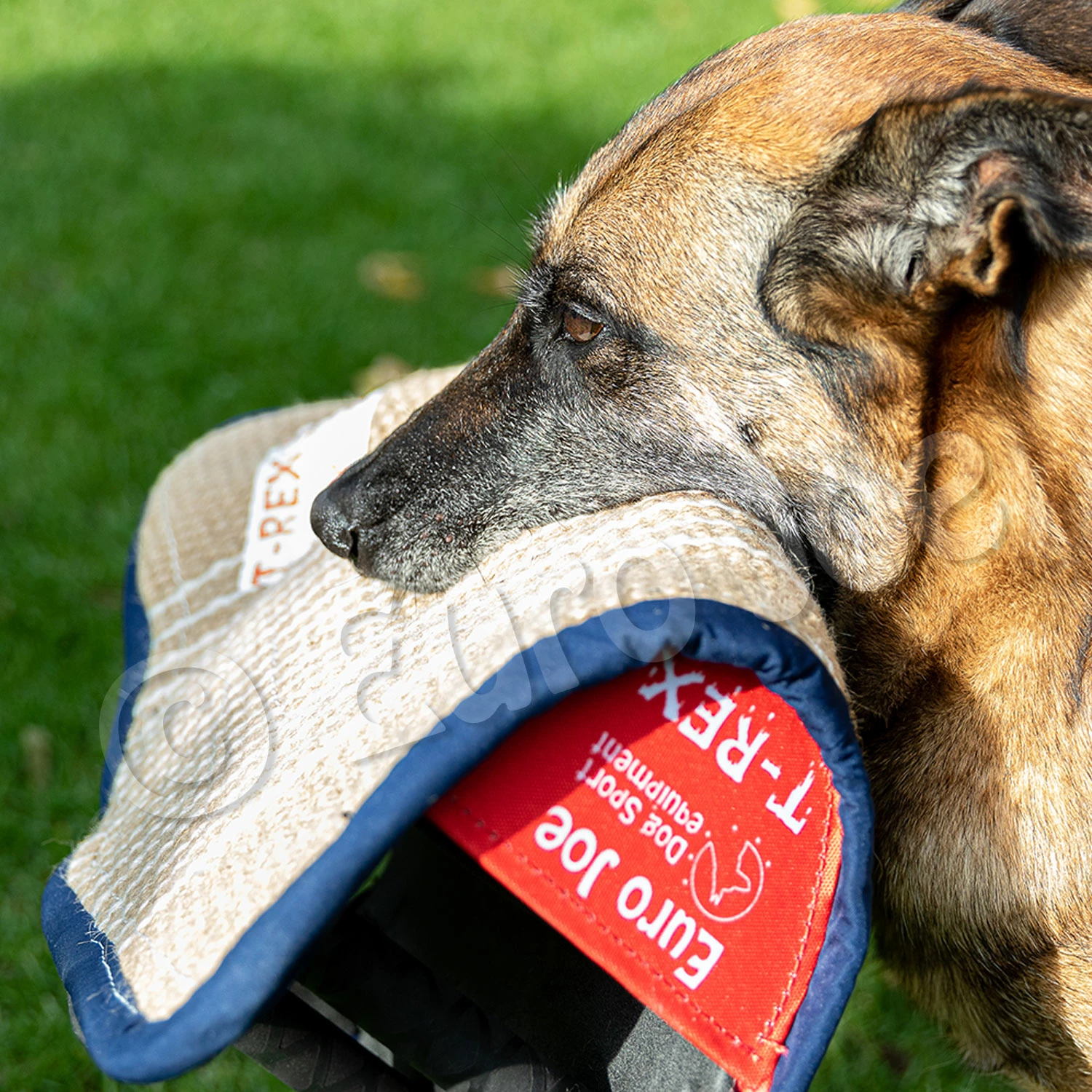 Euro Joe Soft Bitecushion "T-Rex" 5 Euro Joe Soft Bitecushion "T-Rex" - Image 5