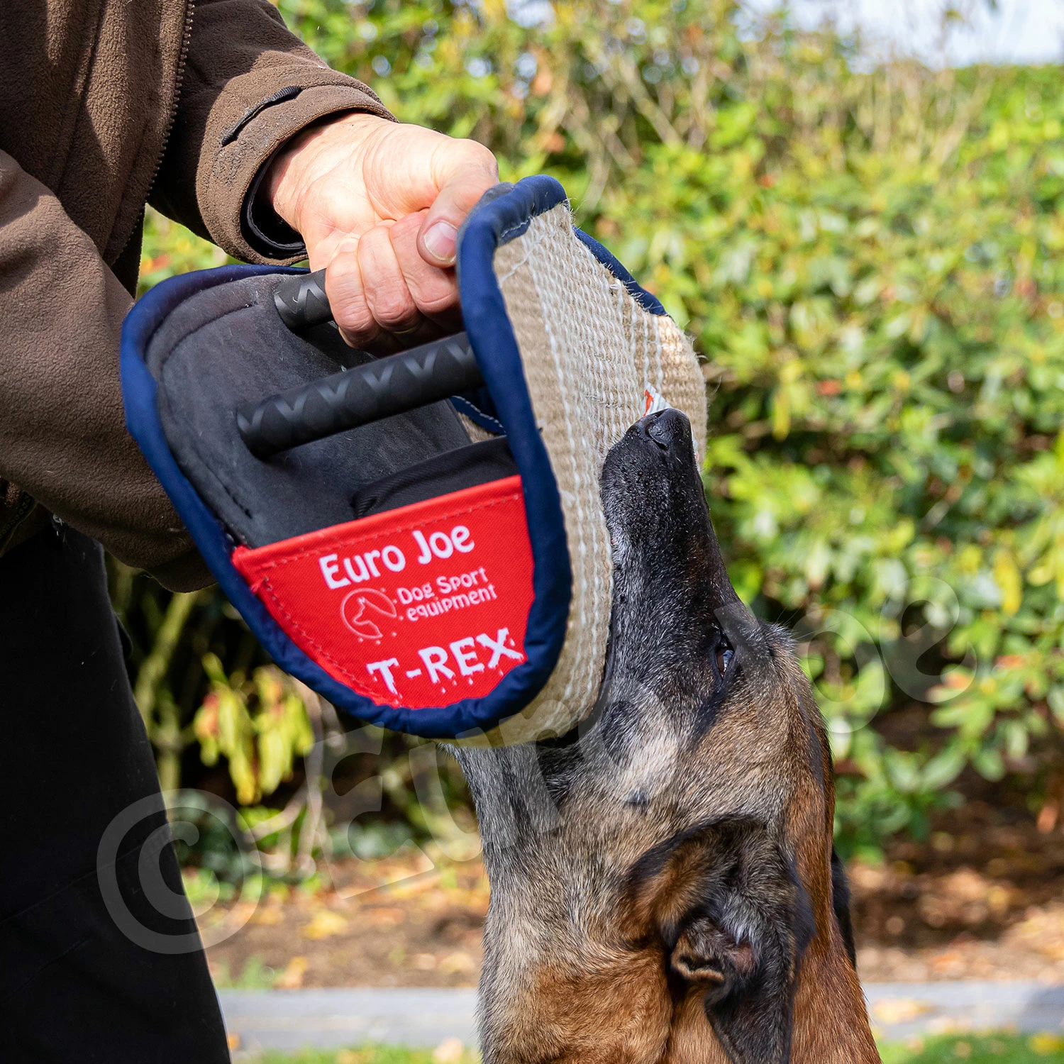 Euro Joe Soft Bitecushion "T-Rex" 6 Euro Joe Soft Bitecushion "T-Rex" - Image 6