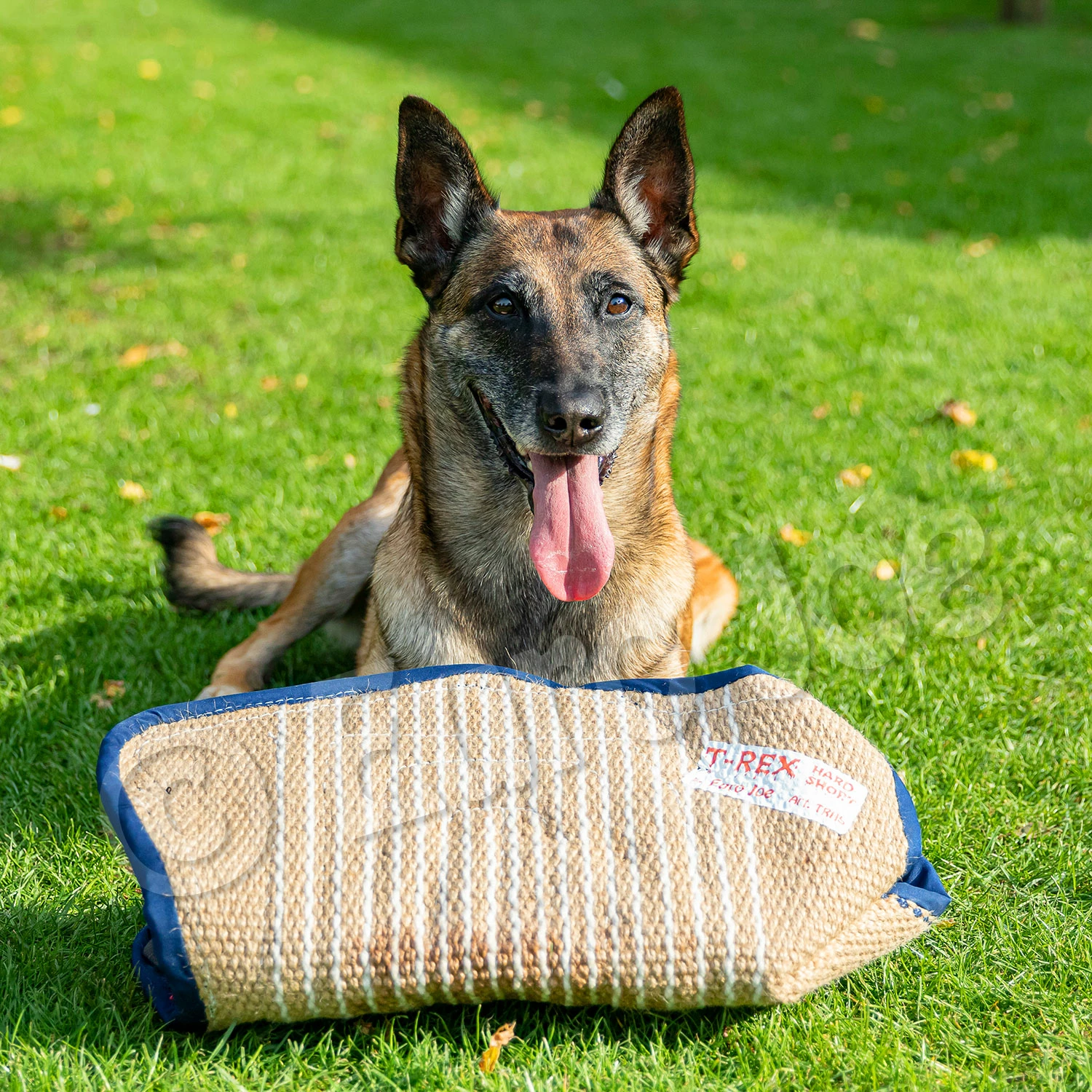 Euro Joe Soft Bitecushion "T-Rex" 8 Euro Joe Soft Bitecushion "T-Rex" - Image 8