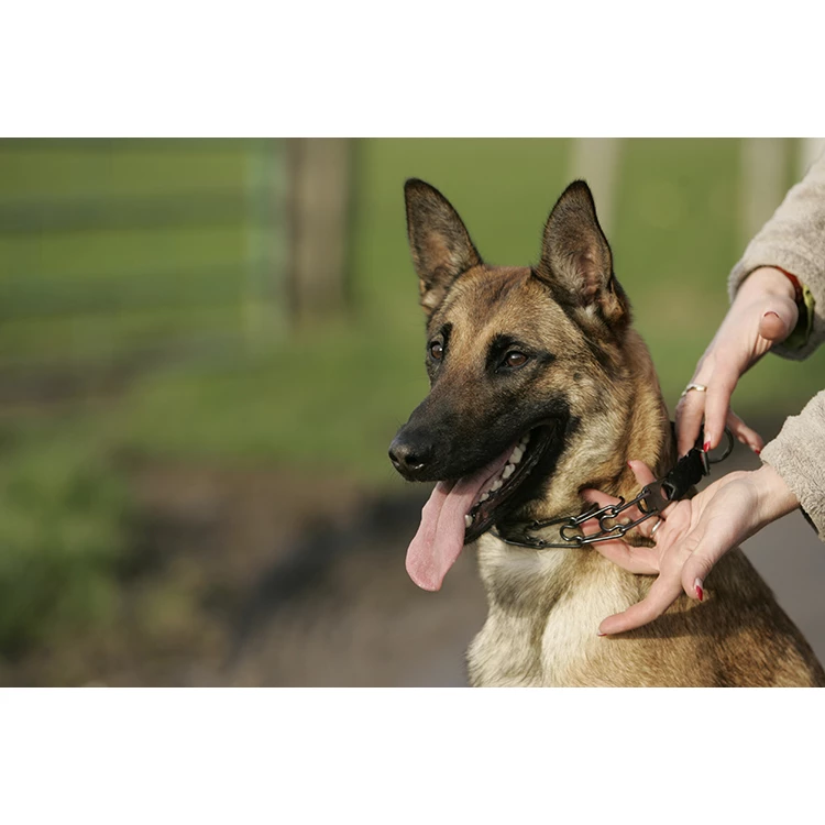 Euro Joe Scarf "Camo" 2 Euro Joe Scarf "Camo" - Image 2