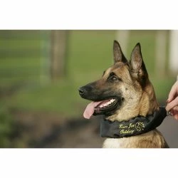 Euro Joe Scarf "Camo" 7 Euro Joe Scarf "Camo" -Euro Joe shop afdek20halsband2003