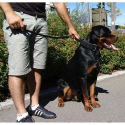 Euro Joe Wide Collar 50 Mm With Handle -Euro Joe shop bredehalsbandHV01