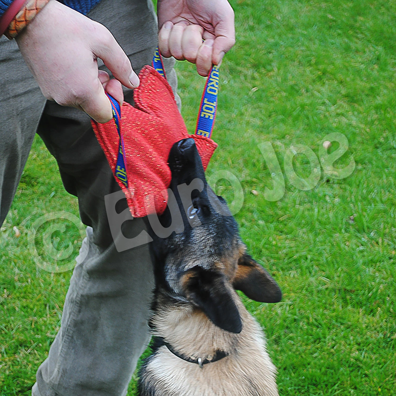 Euro Joe Bite Cushion "Fluffy" 3 Euro Joe Bite Cushion "Fluffy" - Image 3