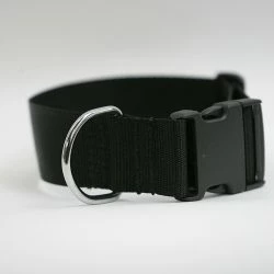 Euro Joe Collar "Cosmo"