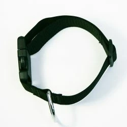 Euro Joe Collar "Cosmo" -Euro Joe shop halsband20Cosmo2003