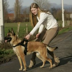 Euro Joe K9 Pro Harness