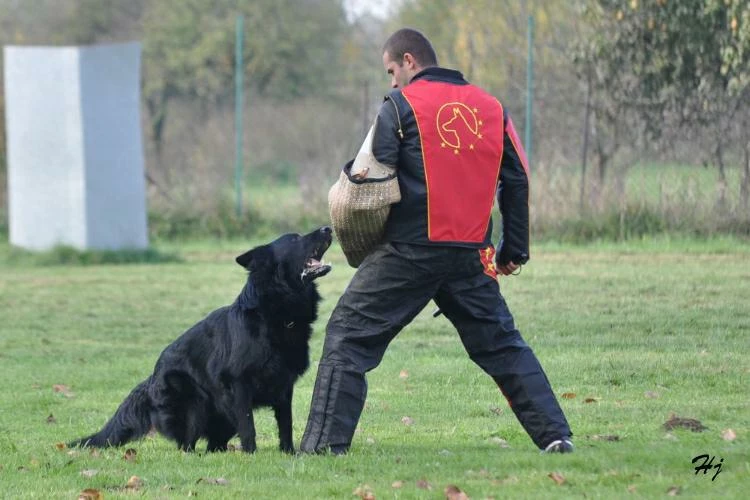 Euro Joe IPO Trousers "Classic" 2 Euro Joe IPO Trousers "Classic" - Image 2