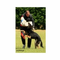 Euro Joe IPO Trousers "Classic" 7 Euro Joe IPO Trousers "Classic" -Euro Joe shop ipopak02