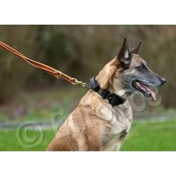 Euro Joe Reducable Line "Lirka" -Euro Joe shop lirka 10