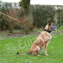 Euro Joe Reducable Line "Lirka" -Euro Joe shop lirka 11