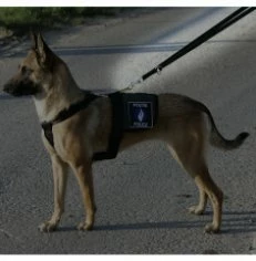 Euro Joe Harnass "Pros" 1 Euro Joe Harnass "Pros"