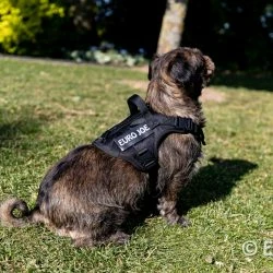 Euro Joe Nylon Harness 'Tactical' Red -Euro Joe shop loesje harnas 1 2