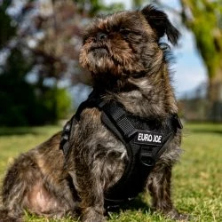 Euro Joe Nylon Harness 'Tactical' Neon Yellow 59 Euro Joe Nylon Harness 'Tactical' Neon Yellow -Euro Joe shop loesje harnas 2