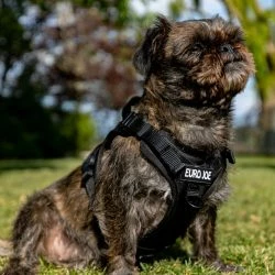 Euro Joe Nylon Harness 'Tactical' Black 57 Euro Joe Nylon Harness 'Tactical' Black -Euro Joe shop loesje harnas 3 7