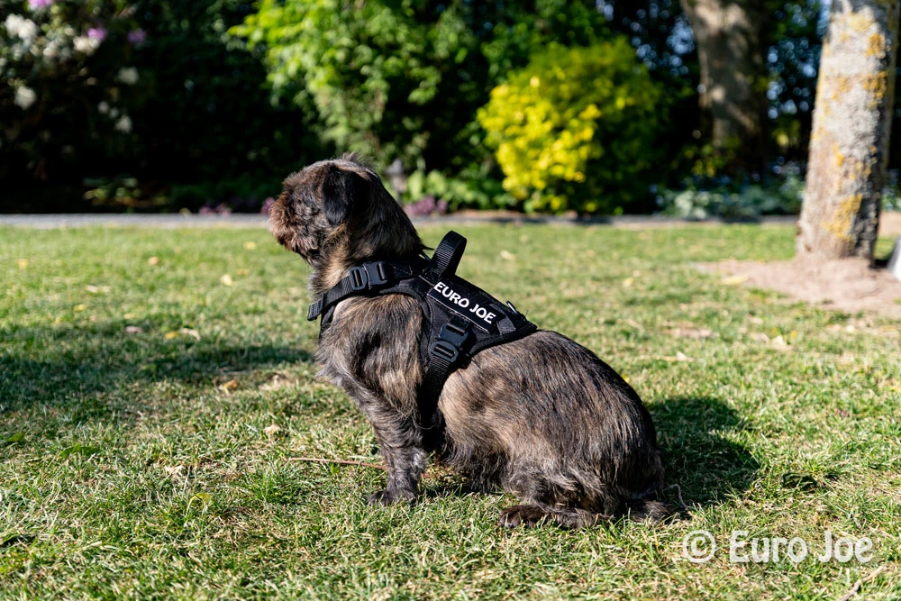 Euro Joe Nylon Harness 'Tactical' Neon Green 28 Euro Joe Nylon Harness 'Tactical' Neon Green - Image 28