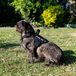 Euro Joe Nylon Harness 'Tactical' Black 58 Euro Joe Nylon Harness 'Tactical' Black -Euro Joe shop loesje harnas 4 7