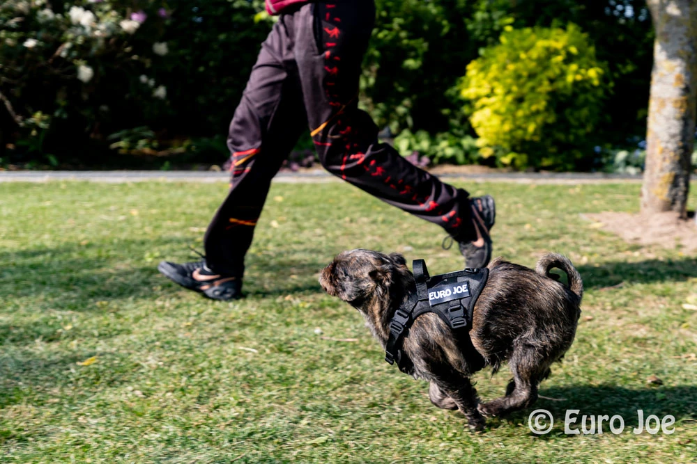 Euro Joe Nylon Harness 'Tactical' Pink 30 Euro Joe Nylon Harness 'Tactical' Pink - Image 30