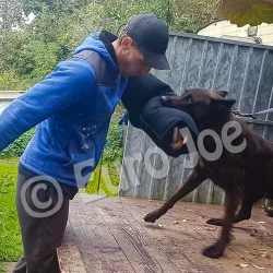 Euro Joe Sleeve N°6 For "crocodiles" -Euro Joe shop mouw nylcot nr6 04