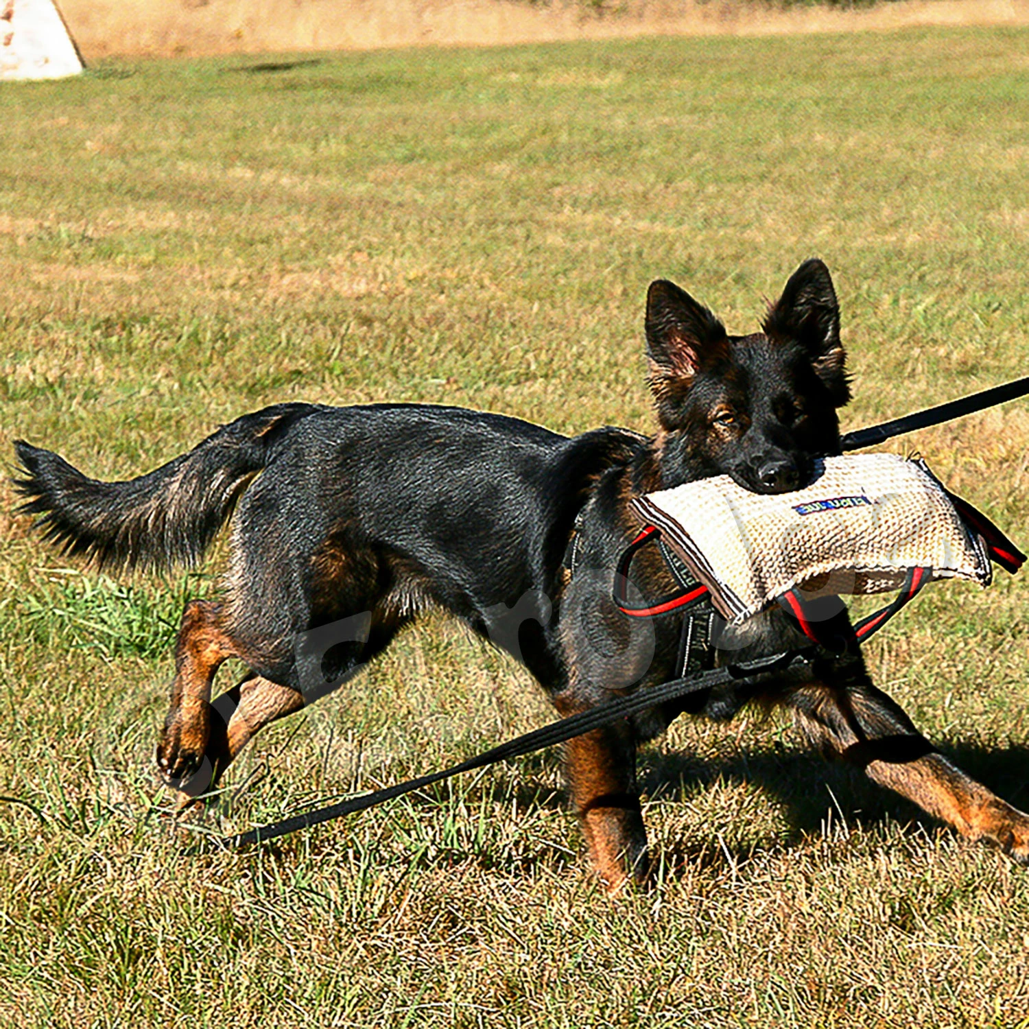 Euro Joe Bite Cushion "Original" Jute 2 Euro Joe Bite Cushion "Original" Jute - Image 2