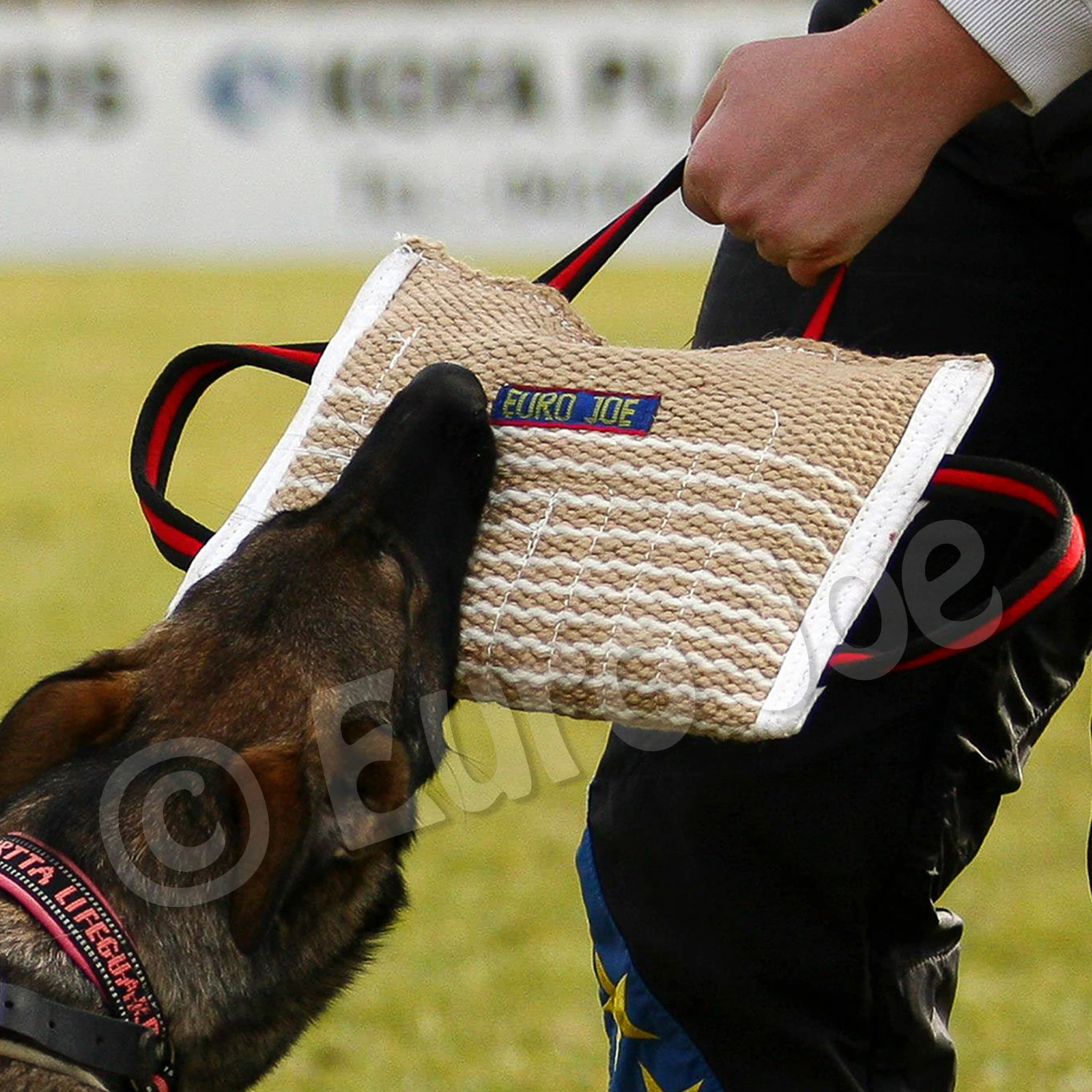 Euro Joe Bite Cushion "Original" Jute 4 Euro Joe Bite Cushion "Original" Jute - Image 4
