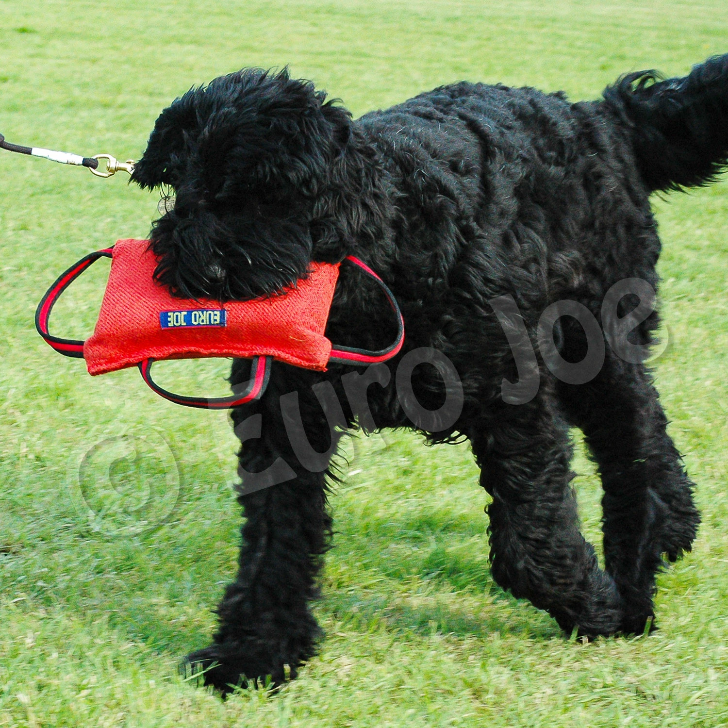 Euro Joe Bite Cushion "Original" Nylcot 2 Euro Joe Bite Cushion "Original" Nylcot - Image 2