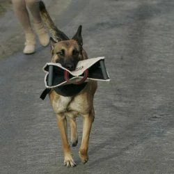 Euro Joe Bitecushion "Special" Nylcot -Euro Joe shop special jute04 0